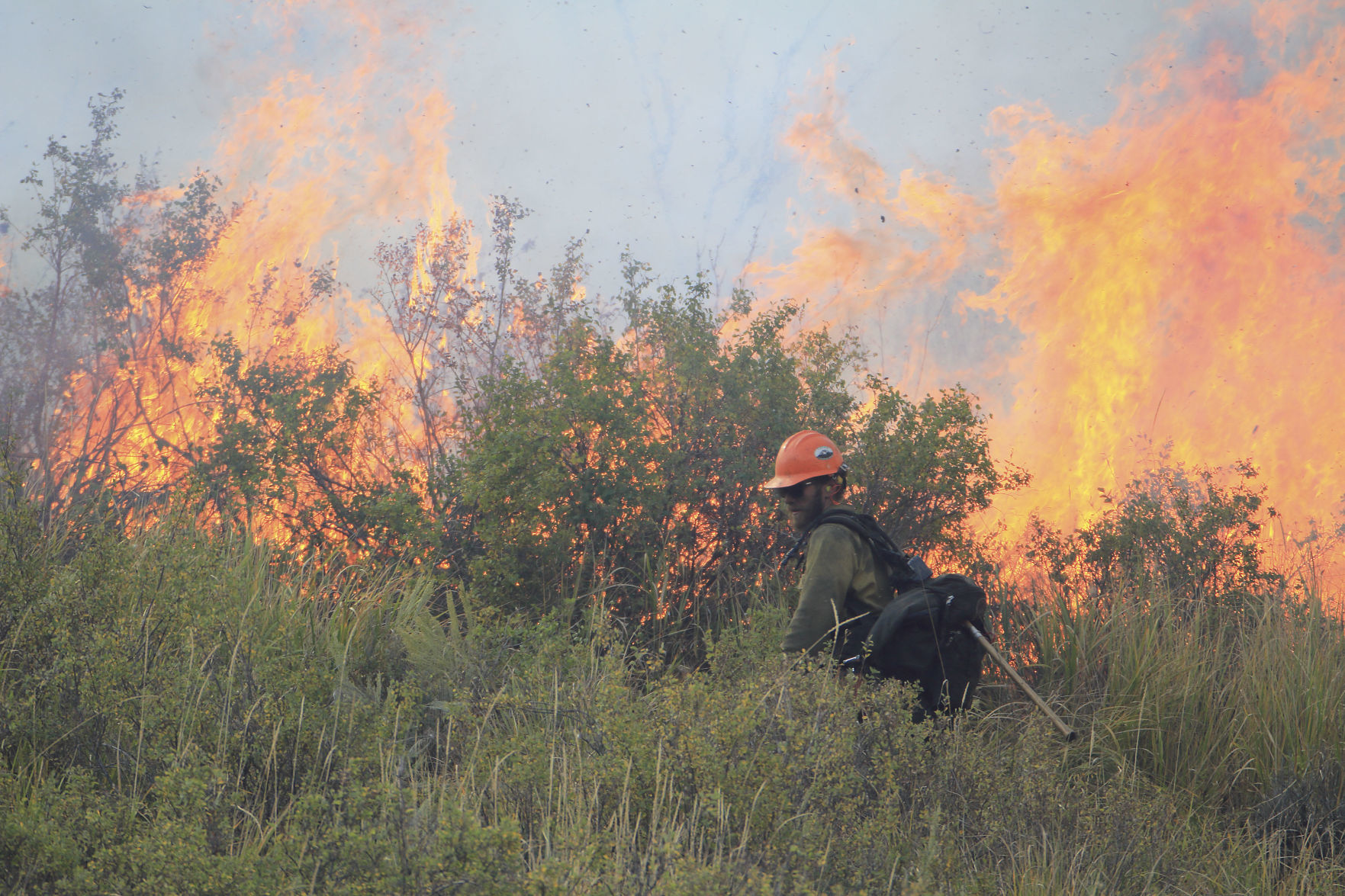 Saddle Butte Fire